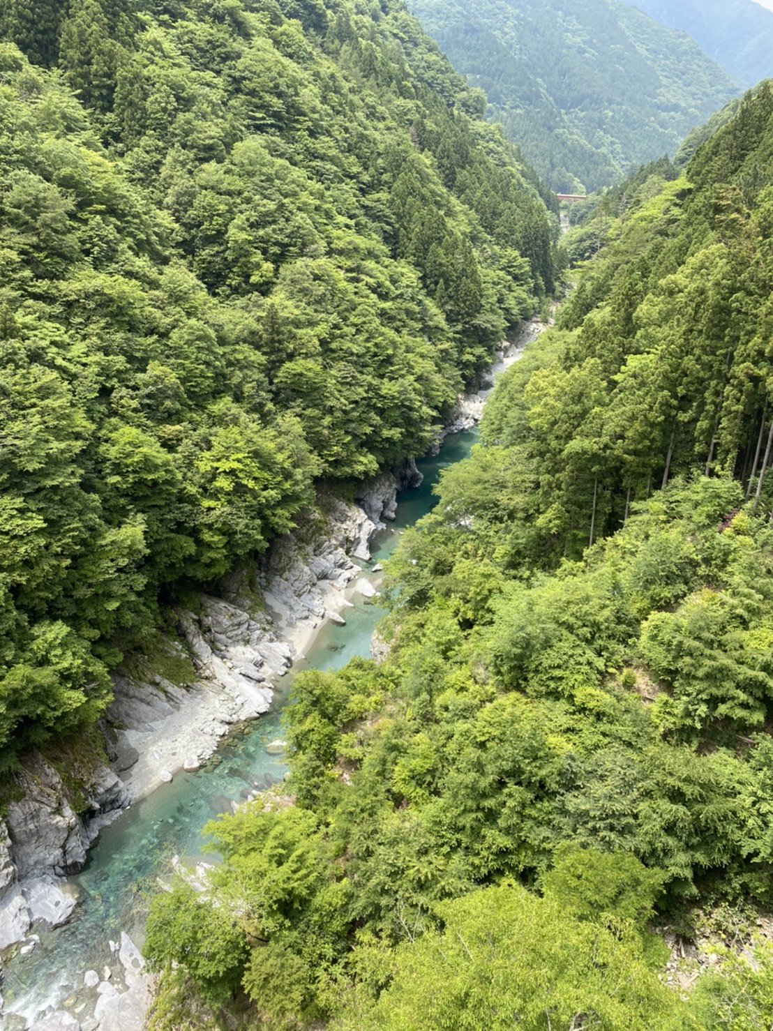 車の下が水漏れしている 東四国スバル株式会社