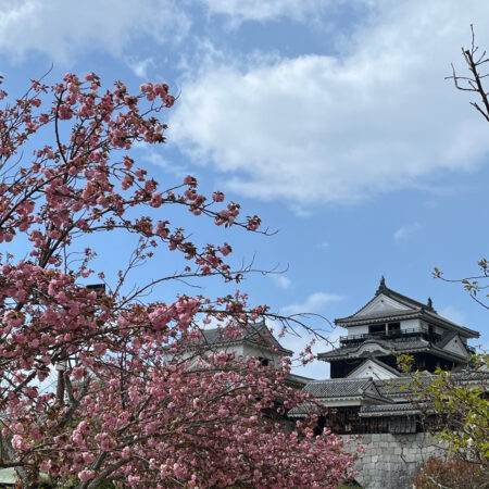 徳島北店CAの休日　～桒田CA編③～