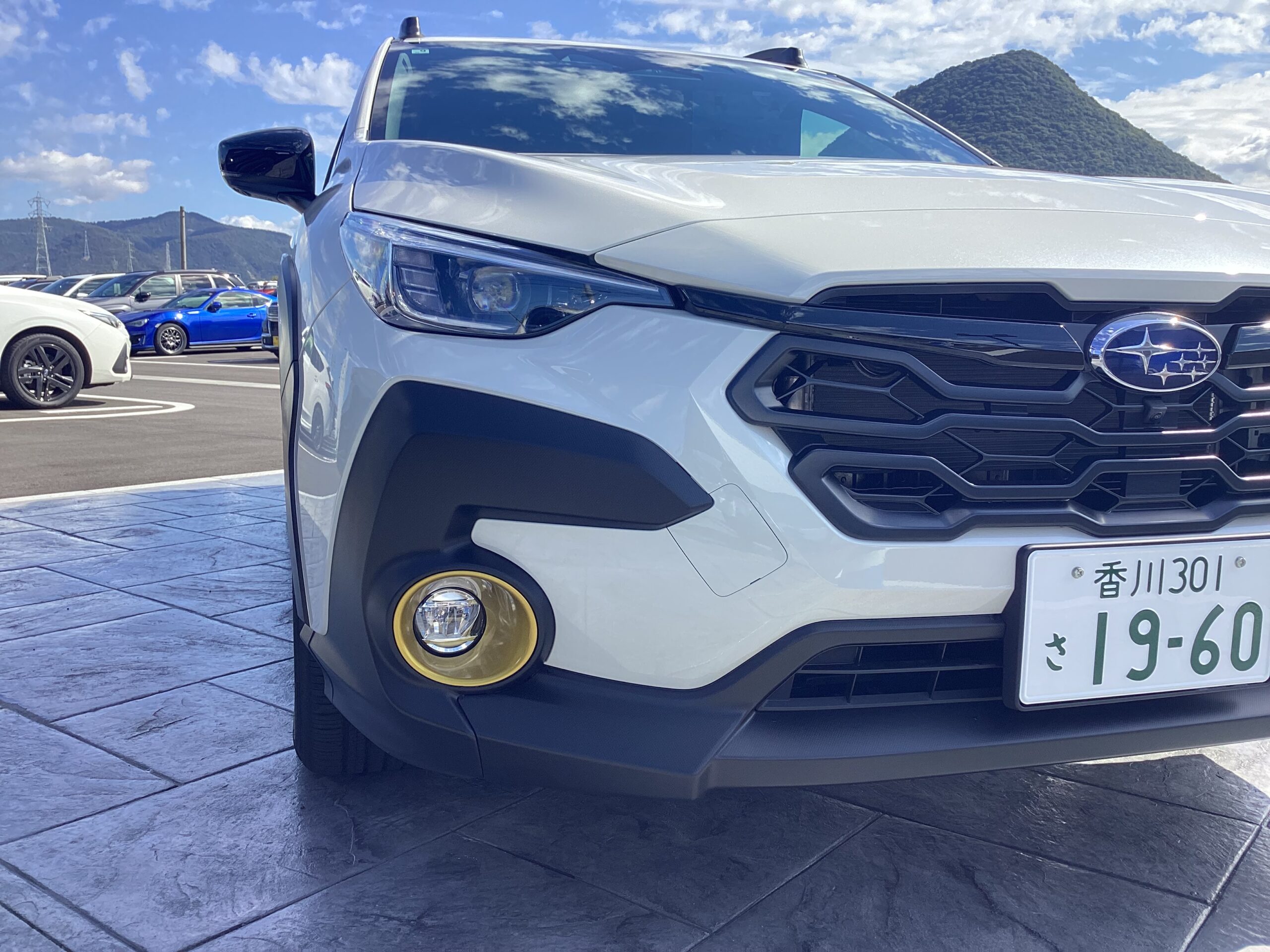 なんだ、ちみは！！