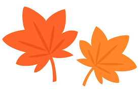 🚗ビッグイベント🎉