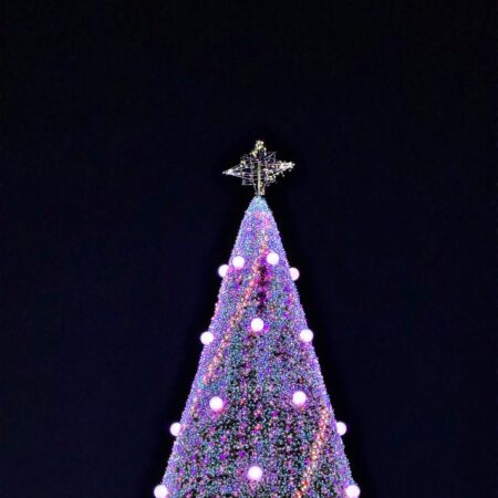 私はサンタクロースになりたい・・・🎅