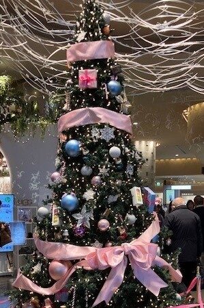 🎄今週はクリスマス🎅