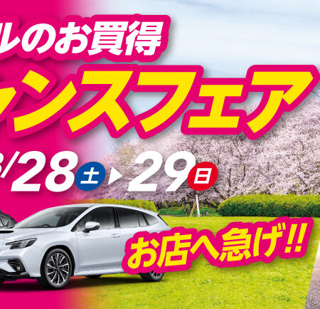 春が近づいてきてます🌸