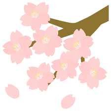 🏃🏃３月ですね🌸