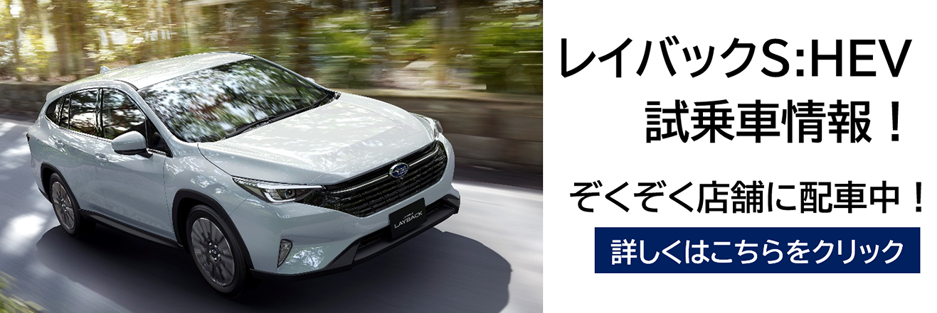 レイバックS:HEV 試乗車情報！