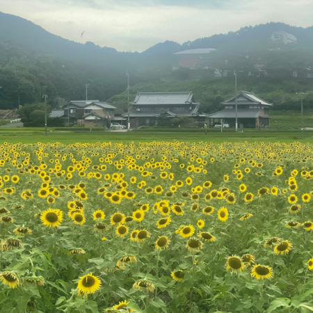 【8/12から】お盆休み前の事前連絡はお早めに！