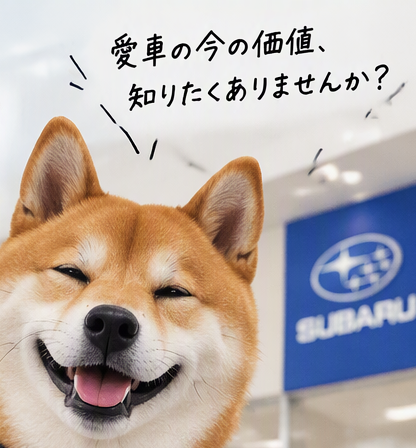 手短に。